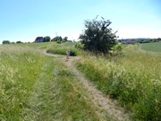 Májový běh pro zdraví